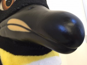 Pinguin-Kostueme