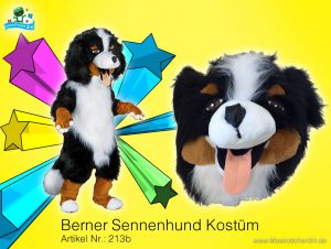 Berner-Sennenhund-kostuem-213b